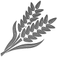 CareHarmony